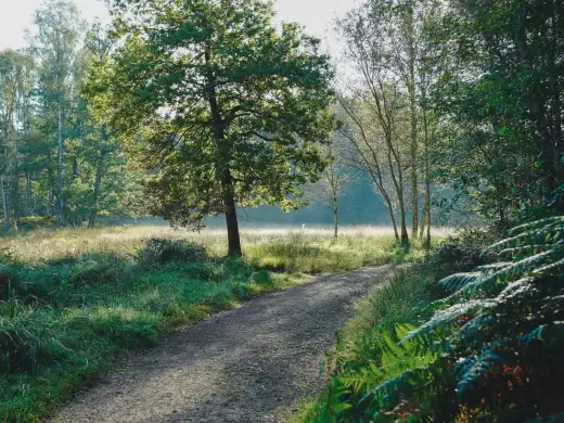 Ohligser Heide Solingen - Dein Guide für Ruhe & Natur