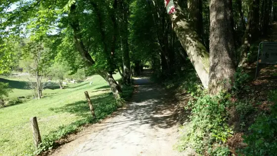 Korkenziehertrasse Solingen - Leichte Wanderung mit Mehrwert