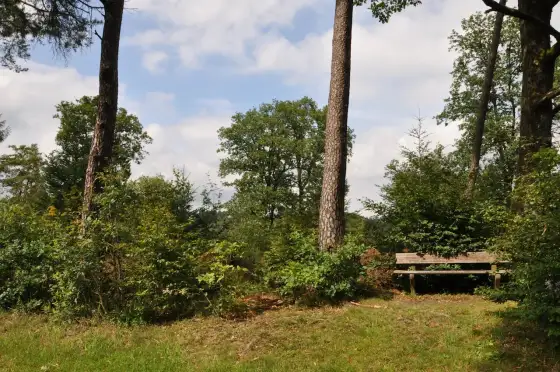 Friesenhagener Hexenweg – Mehr als nur wandern im Wildenburger Land
