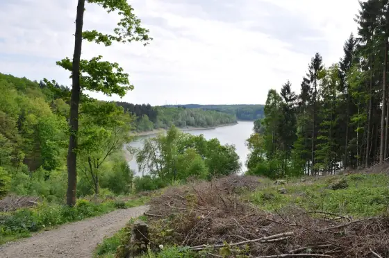 Wuppertalsperre Wanderung - Finde deine perfekte Route