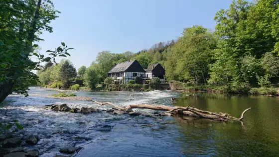 Wipperkotten Wanderung - Dein Guide für Natur & Geschichte